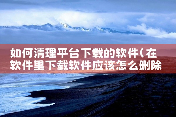 如何清理平台下载的软件