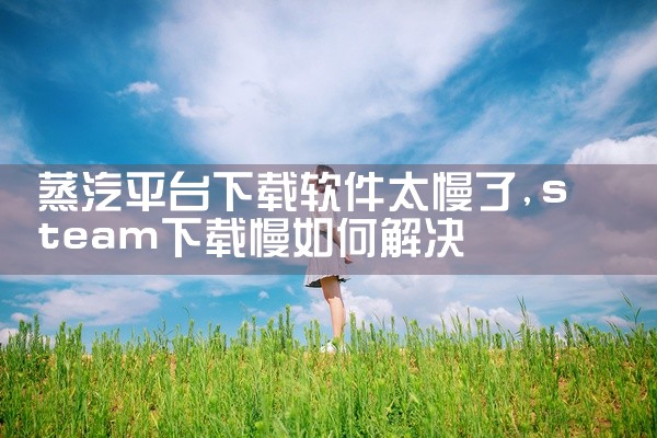蒸汽平台下载软件太慢了