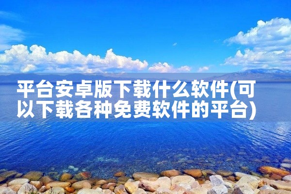 平台安卓版下载什么软件
