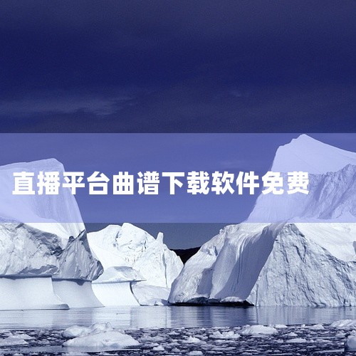 主打“KTV提词器”定位，核心服务于歌词检索与实时提词需求，兼顾实用性与场景化，适合K歌、练歌、直播...,